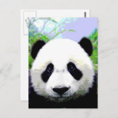 Panda Bear Postkarte (Vorne/Hinten)