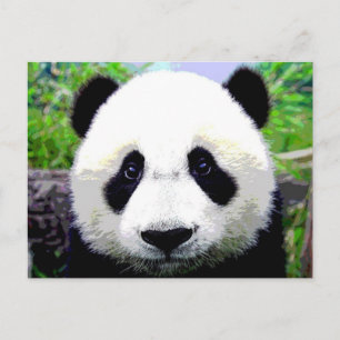 Panda Bear Postkarte