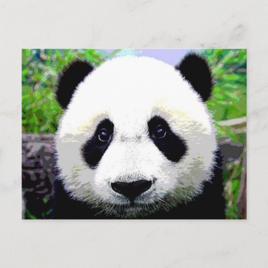 Panda Bear Postkarte (Vorderseite)