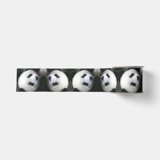 Panda Bear Ribbon Ripsband (Vorderseite)