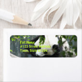 Panda Bear Rücksendeadresse (Insitu)