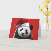 Panda Bear Santa Claus Karte (Gelbe Blume)