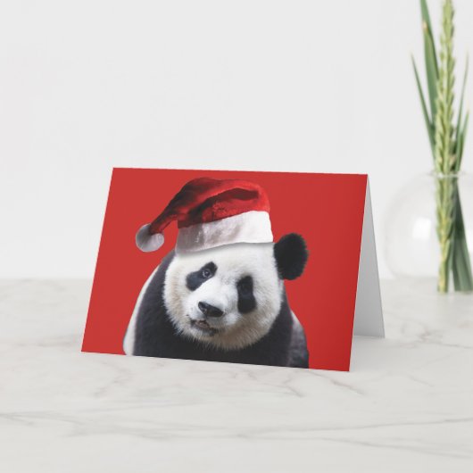 Panda Bear Santa Claus Karte (Vorderseite)