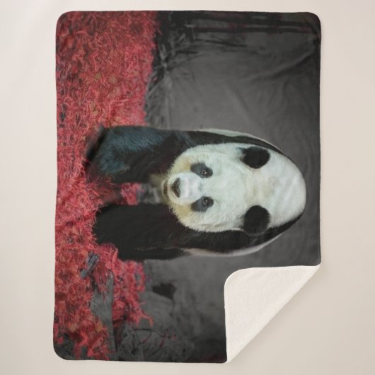 Panda Bear Sherpadecke (Vorderseite)