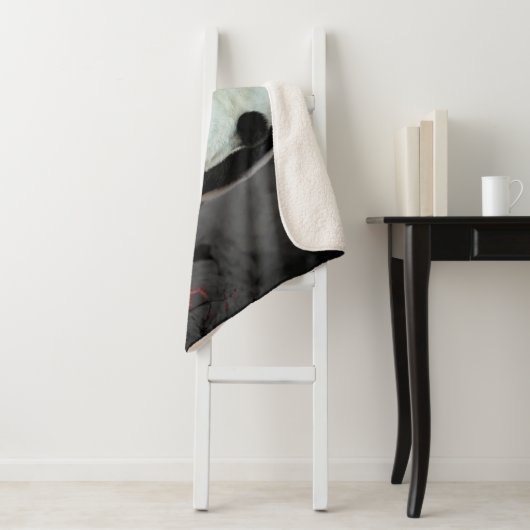 Panda Bear Sherpadecke (Beispiel)