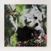 Panda Bear Smile Puzzle (Horizontal)