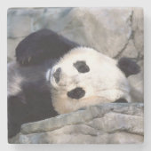 Panda Bear Steinuntersetzer (Vorderseite)
