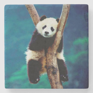 Panda Bear Steinuntersetzer