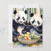 Panda Bear Study C - Wasserfarben