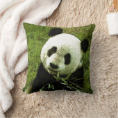 Panda Bear Throw Kissen (Decke)