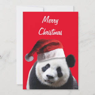 Panda Bear trägt einen Weihnachtsmann für Weihnach Dankeskarte