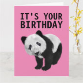 PANDA BEAR ÜBERSIERT BIRTHDAY CARD KARTE (Gelbe Blume)