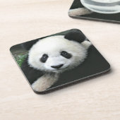 Panda Bear Untersetzer (Linke Seite)