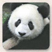 Panda Bear Untersetzer (Vorderseite)