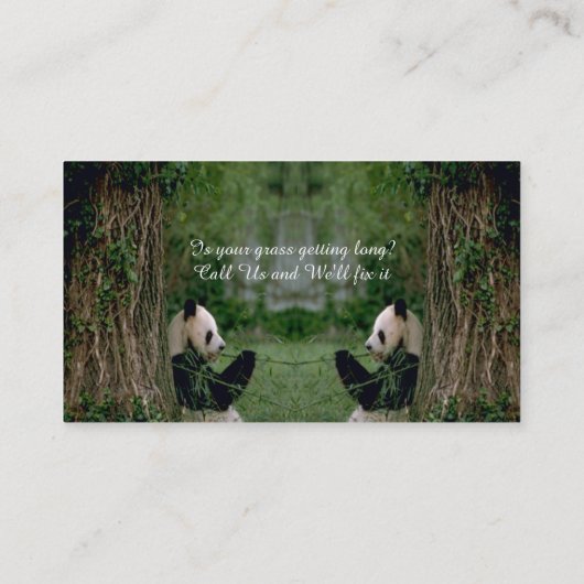 Panda Bear Visitenkarte (Rückseite)