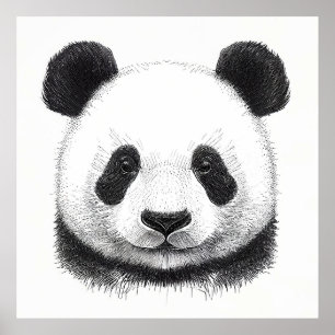 Panda Bear Wild Nature Animal Illustration Art Poster