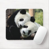 Panda Bears Mousepad (Mit Mouse)