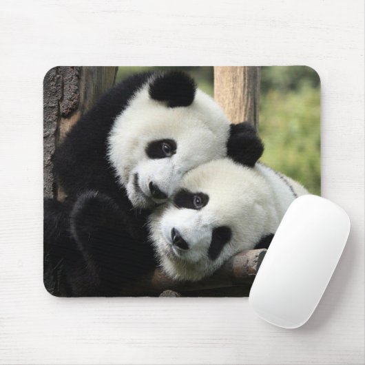 Panda Bears Mousepad (Mit Mouse)