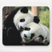 Panda Bears Mousepad (Vorne)