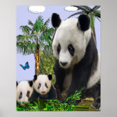Panda Bears Poster (Vorne)