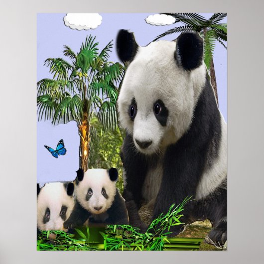 Panda Bears Poster (Vorne)