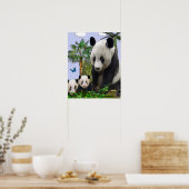 Panda Bears Poster (Küche)