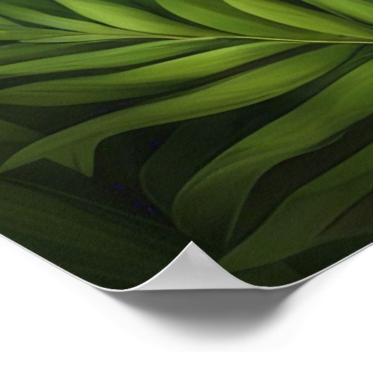 Panda behalten oder ein eigenes Poster zu entwerfe (Ecke)