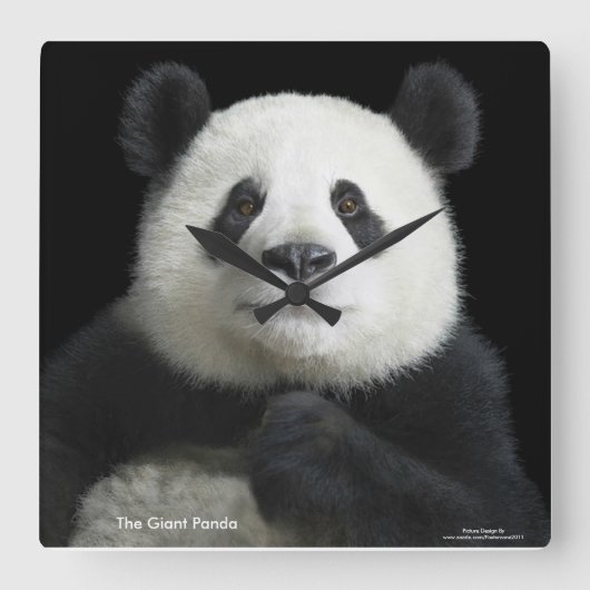 Panda-Bild für die Uhr (Vorderseite)