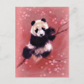 Panda Blossom Postkarte (Vorderseite)
