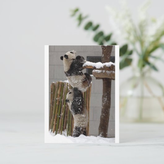 Panda Boost Postkarte (Stehend Vorderseite)
