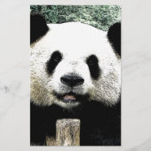 Panda Briefpapier (Vorderseite)