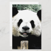 Panda Briefpapier (Vorne/Hinten)