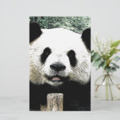 Panda Briefpapier (Stehend Vorderseite)