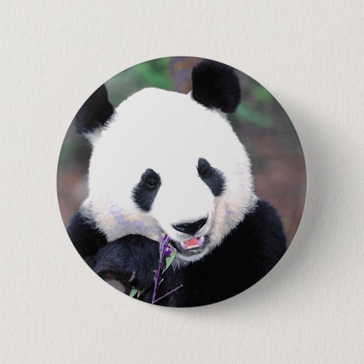 Panda Button (Vorderseite)