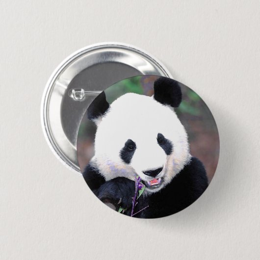 Panda Button (Vorne & Hinten)