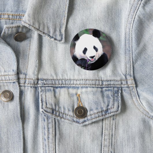 Panda Button (Beispiel)