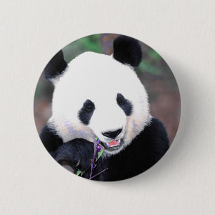 Panda Button