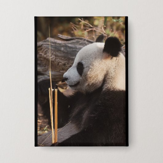 panda  button (Vorderseite)