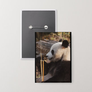 panda  button