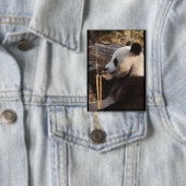 panda  button (Insitu)