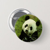 Panda Button (Vorne & Hinten)