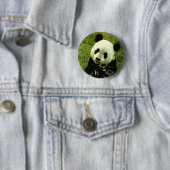 Panda Button (Beispiel)