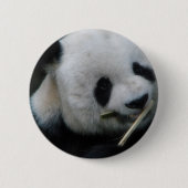 Panda Button (Vorderseite)
