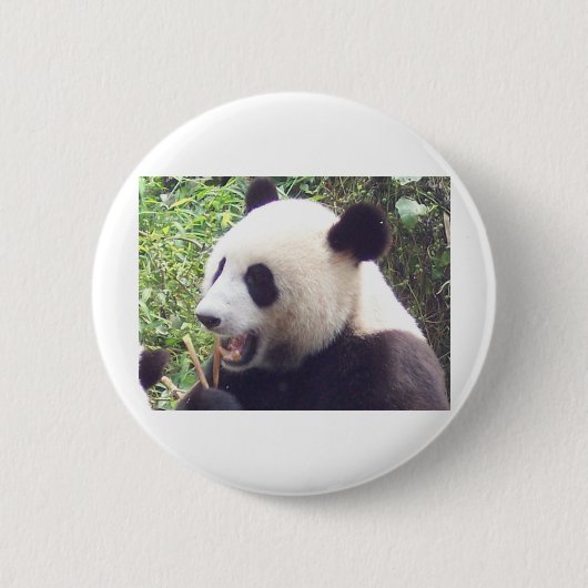 Panda Button (Vorderseite)