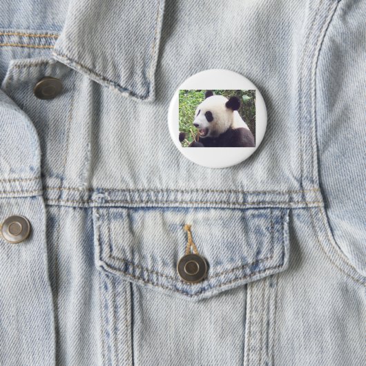 Panda Button (Beispiel)