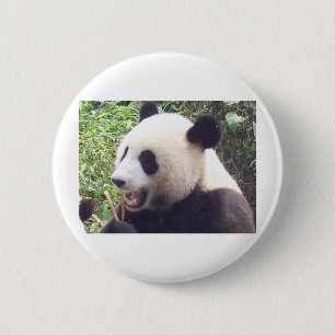 Panda Button