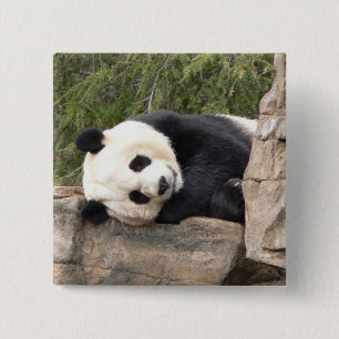 Panda-Button Button