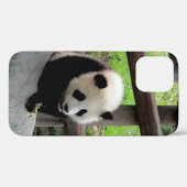 Panda Case-Mate iPhone Hülle (Rückseite (Horizontal))