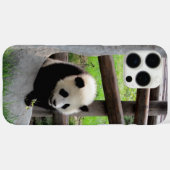 Panda Case-Mate iPhone Hülle (Rückseite (Horizontal))
