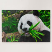 Panda Chewing auf Bamboo Puzzle (Horizontal)